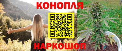 дмт Заводоуковск