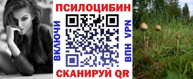 сколько стоит площадка клад Галлюциногенные грибы Cubensis Минеральные Воды