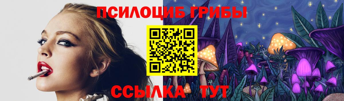 Галлюциногенные грибы прущие грибы  Галлюциногенные грибы GOLDEN TEACHER  Минеральные Воды  Вход с VPN 