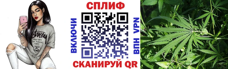 Бошки Шишки AK-47  дарк нет телеграм  Минеральные Воды 